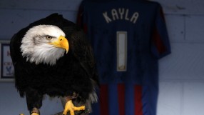 Английската полиция арестува мъж, опитал да удари орлицата Кайла (ВИДЕО)