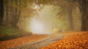 Мъгливо утро и слънчев следобед в петък