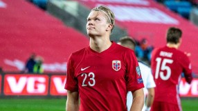 Холанд е сигурно попълнение на 