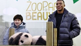 Мбапе осинови бебета панди (ВИДЕО)