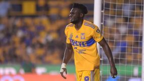 По схемата с Недялков и Десподов: 