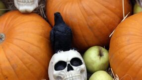 Отпадъците от тикви за Хелоуин създават проблеми с отделянето на метан, но има решение на проблема