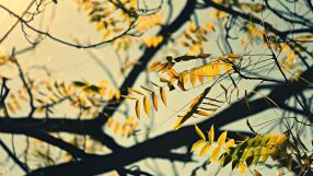 Предимно слънчево на 2 ноември, градусите отново ще са високи за сезона 