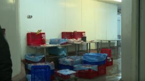 Над 70 тона месо с неясен произход открити в складове в София 