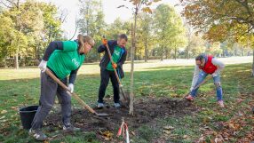 Кока-Кола ХБК празнува 60 години Кока-Кола в България с три залесителни акции