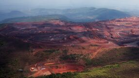 Болнавите гори на Европа абсорбират все по-малко въглероден диоксид. Решението – 10% по-малко сеч