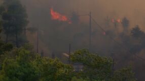 След пепелта: Уроците на Гърция за свят, който гори все по-често