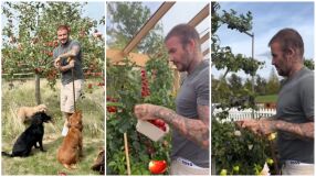 „Перфектната ни вечер? Чаша вино сред зеленчуците“: Как сър Дейвид Бекъм се превърна в градинар?