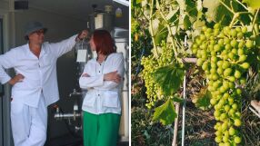 Как едно семейство от Русия пази традициите на българското винарство