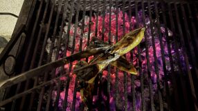 Скара с кебапчета предизвика голям пожар в Хасково