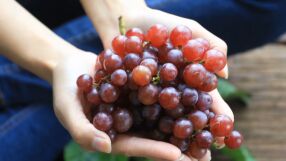 В сезона на гроздето – не  го подминавайте