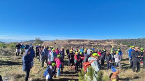 „Гората на спомените“: Доброволци и родители засадиха над 2000 дървета