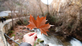Какво време ни очаква до 30 ноември?