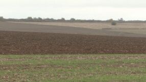 Кога рентата от земя се облага с данък?