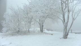 Първи сняг: Необичайно ранно начало на зимата в Германия (ВИДЕО)