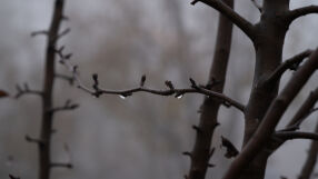 Времето на 20 ноември: Облаци, слаб вятър и дъжд