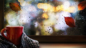 Проф. Георги Рачев: От неделя температурите ще станат нормални за края на ноември