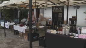 Рекордни тълпи на „Дефиле на младото вино“ в Пловдив