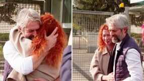 Варненският кмет Благомир Коцев излезе на свобода