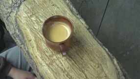 Чаша кафе с вкус на Африка: В Пловдив отвориха първото у нас зоокафе