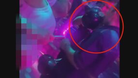 По 10-15 лв.: Балони с райски газ продължават да се продават в заведения в София (ВИДЕО)