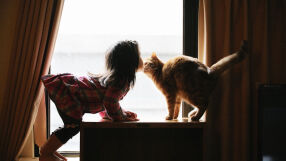 Може ли домашните любимци да са следващите в списъка с лекарства за отслабване?