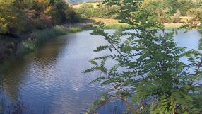 Очакват се повишения на речните нива през следващите два дни