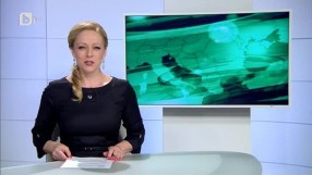 Спорт - Централна емисия - 07.10.2014