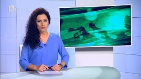 Спорт - Централна емисия - 31.10.2014