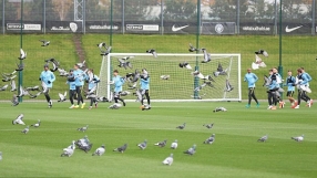 Инвазия от гълъби на тренировка на 