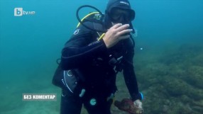 Да “бягаш” под вода (ВИДЕО)