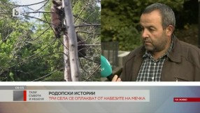 Жителите на три родопски села вече месец се оплакват от набезите на мечка