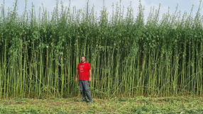 Израелски стартъп, разрушен след нападението на 