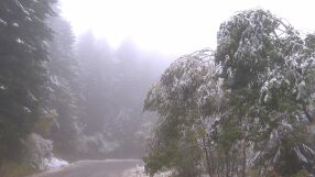 Столична община затваря временно пътищата към Витоша през почивните дни