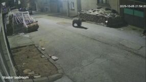 Преследване на мечка: Екип на bTV се включи в нощен обход в Карлово