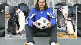 Новият шеф на Димитър Митов задигнал пингвин от резерват