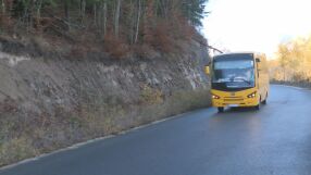 "Това никога не се е случвало": Мече изскочи пред училищен автобус във Велинградско (ВИДЕО)