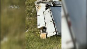 Катастрофиралият камион с маймуни в САЩ: Колко са на свобода и пренасят ли наистина болести?