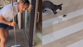 Том, Джери и... Тоти (ВИДЕО)