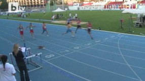 Да ти мине котка път... на финала (ВИДЕО)