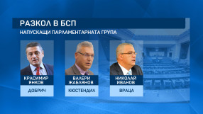 Разцепление в парламентарната група на БСП за първи път от 30 г.