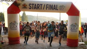 Дизела се включва в 