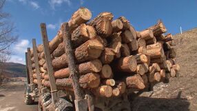 Ключови заводи у нас спират работа, вижте защо