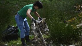 Бизнесът в действие: 1000 доброволци от Coca-Cola почистиха 10 града