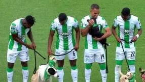 Осинови куче с Атлетико Насионал (ВИДЕО)