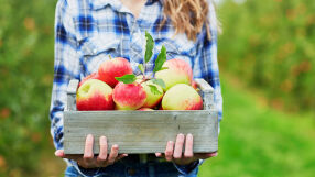 Не изхвърляйте старите ябълки! Ето какво да направите с тях