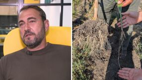 Въглеродът вече има цена: Как българските ниви се превръщат в нов източник на доход