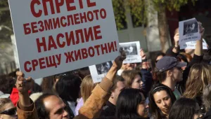 Шествие в защита на пострадали животни ще се проведе в редица градове 