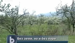 Земя, обявена за публична продан, се оказва несъществуваща