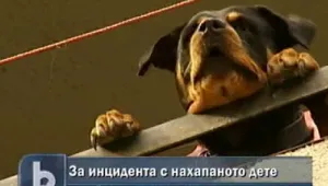 Ротвайлерът, който нахапа бебе, неведнъж нападал хора 